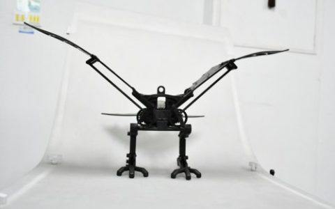 15���׵Ŀ�Խ����ݸ���ǽ��ƽ�̼��ά��Ʒ����ƿ��